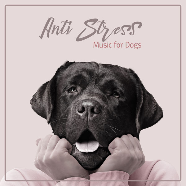 Therapeutic Music Zone - Anti Stress Music for Dogs Therapeutic Music Zone - Anti Stress Music for Dogs