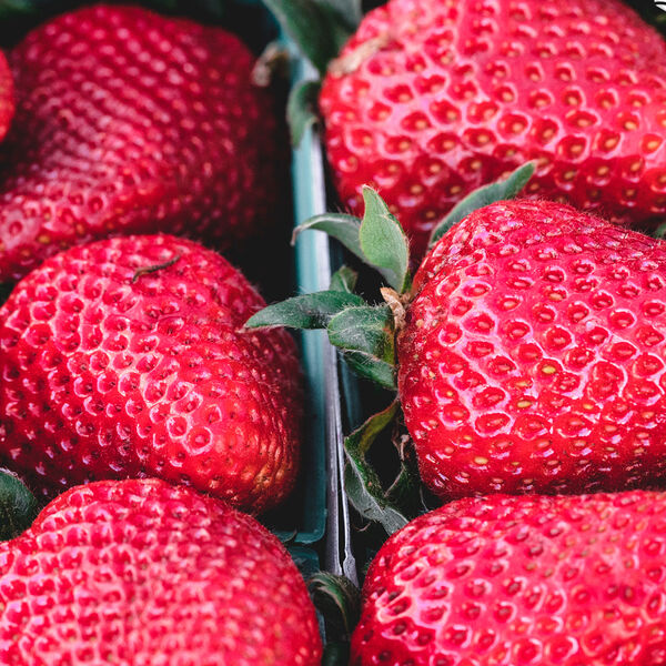 Fruits, Fruity Flavor - Qobuz