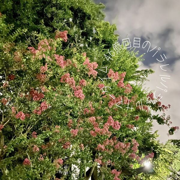 4.6billionth time parallel parallel summer time, Passion Hirose Qobuz