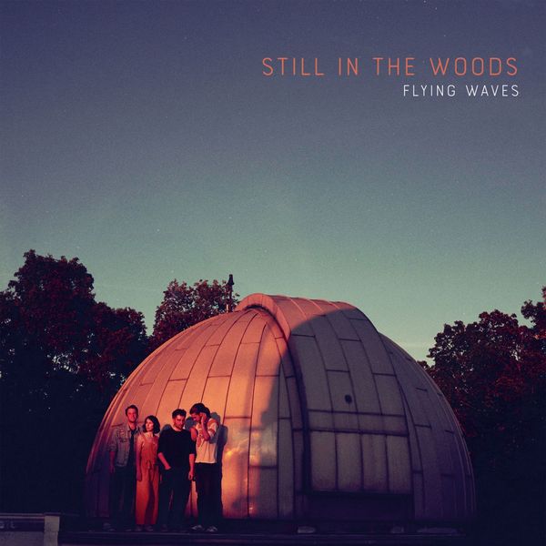 Still in the Woods - Flying Waves Still in the Woods - Flying Waves