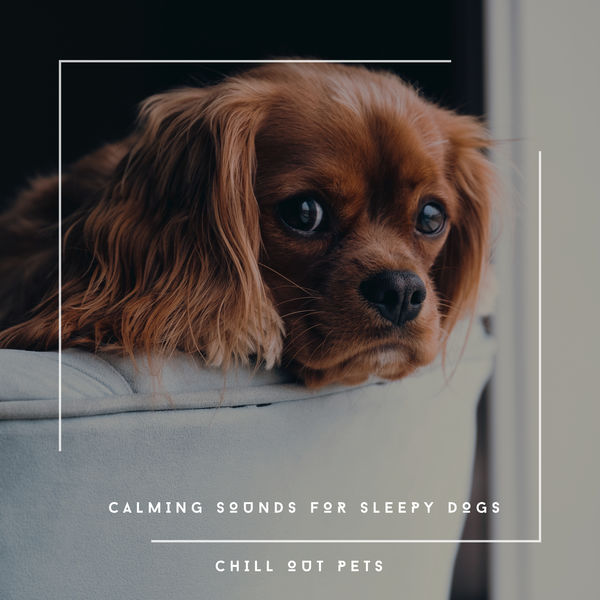 Calming Sounds For Sleepy Dogs Chill Out Pets, Dog Chill Out Music