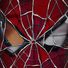 Matheus Pereira Spider-Man 60's Theme (from Arachnoverture Album)