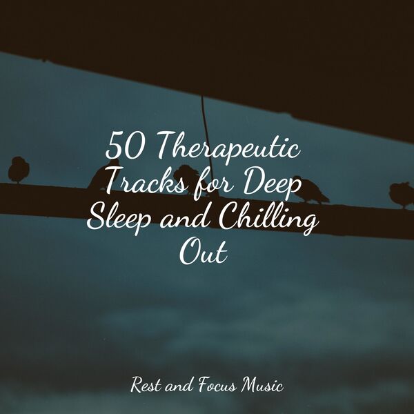 50 Therapeutic Tracks for Deep Sleep and Chilling Out, Spa Brainwave ...