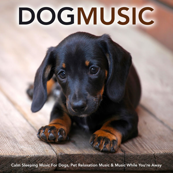 Dog Music|Dog Music: Calm Sleeping Music For Dogs, Pet Relaxation Music & Music While You’re Away