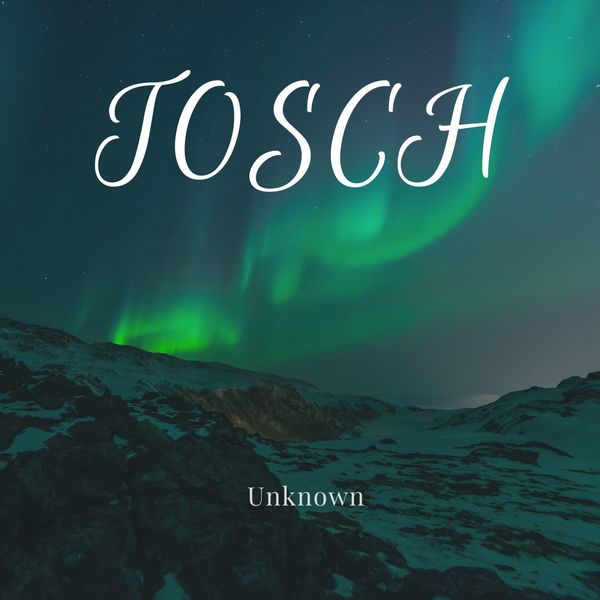 Album Unknown Tosch Qobuz Download And Streaming In High Quality