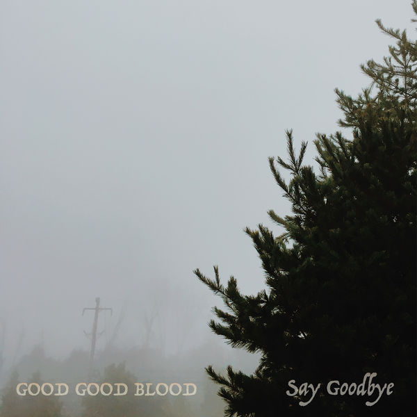 Good Good Blood - Say Goodbye Good Good Blood - Say Goodbye