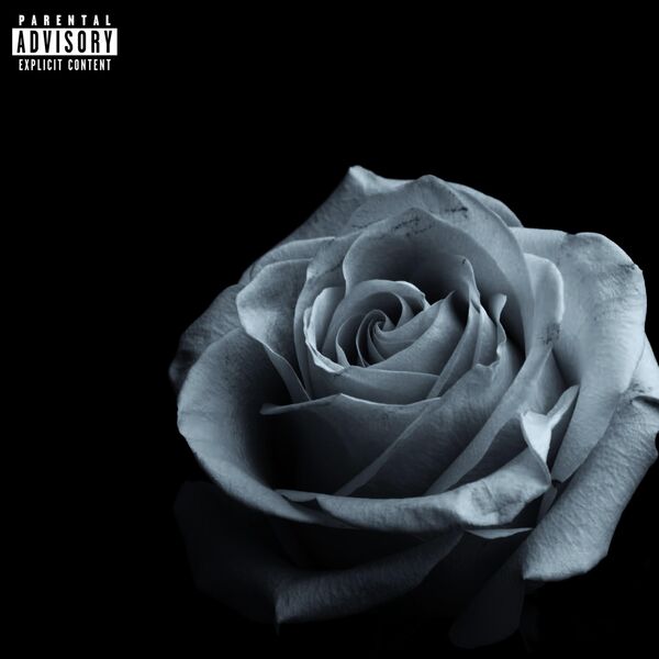 White Roses, YXRD - Qobuz