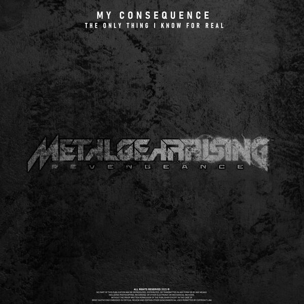 The Only Thing I Know For Real (from Metal Gear Rising: Revengeance ...