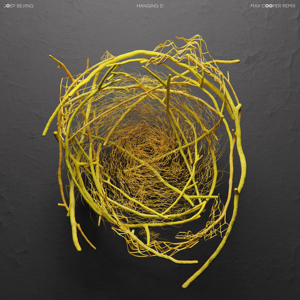 Joep Beving|Hanging D (Max Cooper Remix) Joep Beving|Hanging D (Max Cooper Remix)