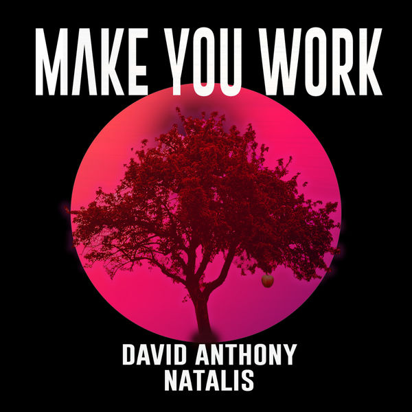 David Anthony|Make You Work