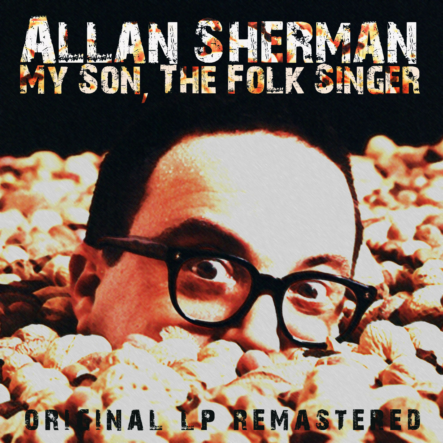 Album My Son, the Folk Singer par ALLAN SHERMAN QUB musique