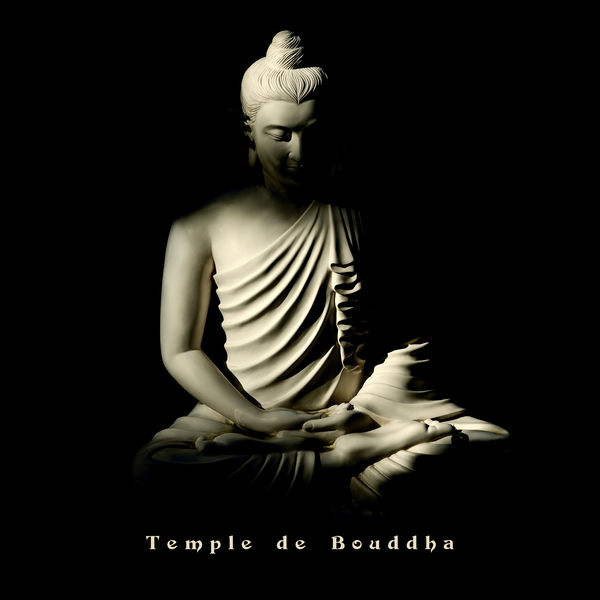 Bouddha musique sanctuaire|Temple de Bouddha (Sons de nature relaxants et musique de thérapie de guérison, Sommeil profond, Bien-être, Spa & massage, Écoute facile)