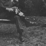 NEEDTOBREATHE The Long Surrender