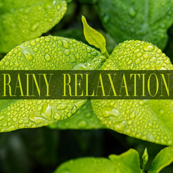 Rain Sounds - Rainy Relaxation Rain Sounds - Rainy Relaxation