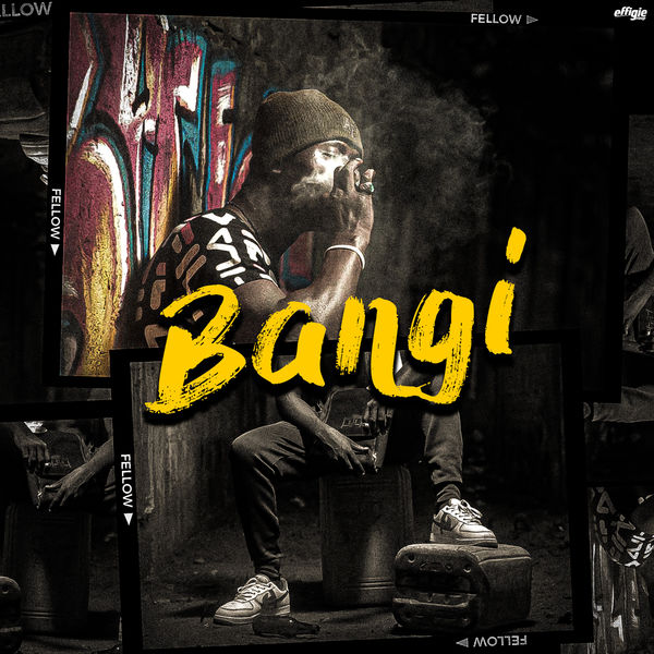 Fellow|Bangi Fellow|Bangi