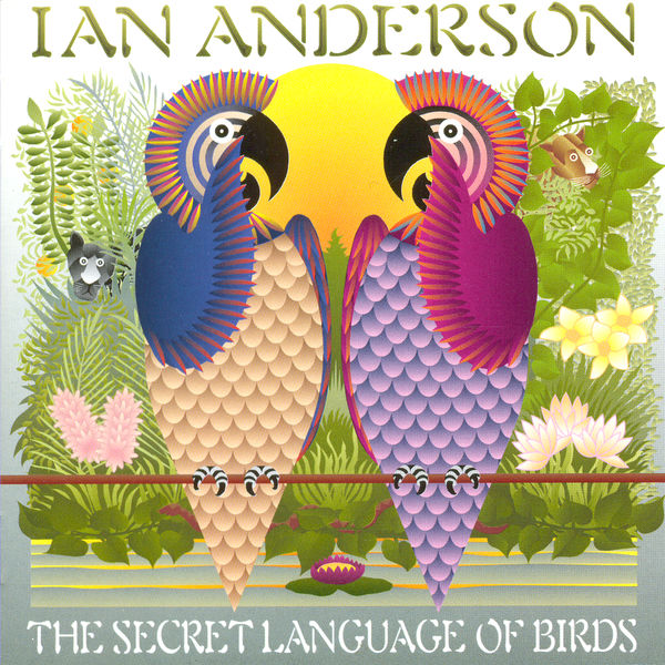 Ian Anderson|The Secret Language Of Birds