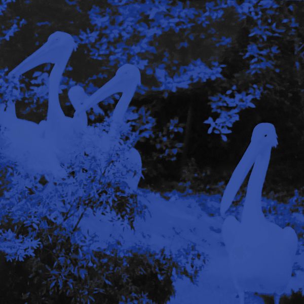 Miynt|Station station (Edit) Miynt|Station station (Edit)