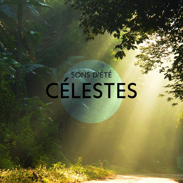 Buddhist méditation académie|Sons d'été célestes (Beaux bruits d'été pour dormir ou méditer) Buddhist méditation académie|Sons d'été célestes (Beaux bruits d'été pour dormir ou méditer)