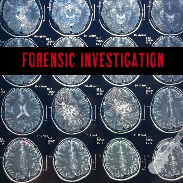 Forensic Investigation, Adam Saunders - Qobuz