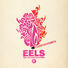 Eels The Deconstruction