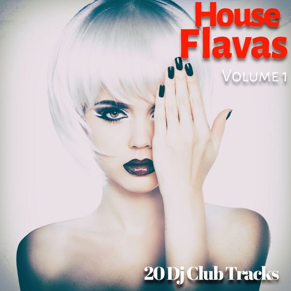 House Flavas, Vol. 1 (20 DJ Club Tracks), Various Artists - Qobuz