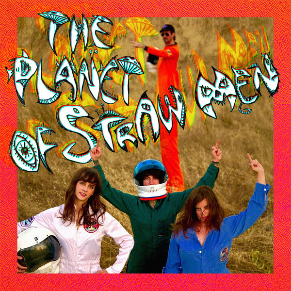 Tropical Fuck Storm - The Planet of Straw Men Tropical Fuck Storm - The Planet of Straw Men