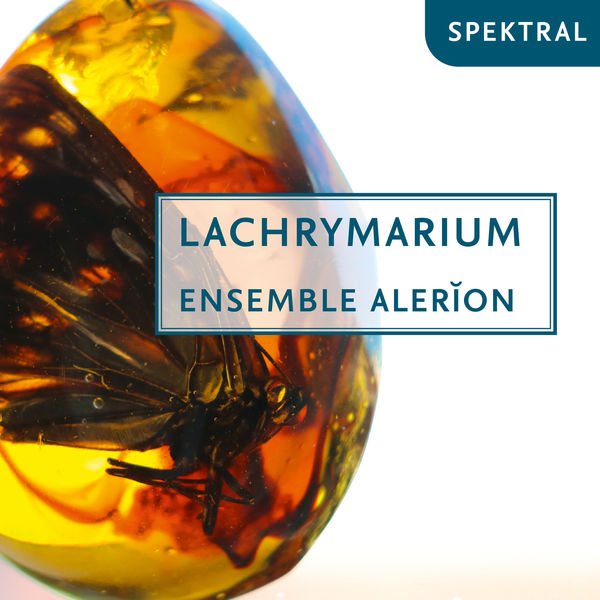 Ensemble Alerion|Lachrymarium Ensemble Alerion|Lachrymarium
