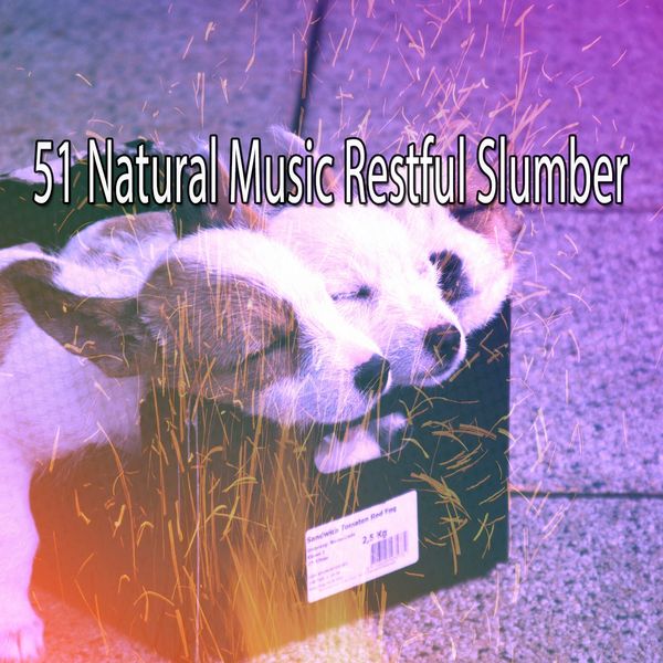 SPA - 51 Natural Music Restful Slumber SPA - 51 Natural Music Restful Slumber