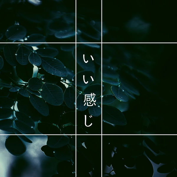 Album いい 感じ 常にプラス思考で行動促進 癒しbgm 深い眠 Qobuz Download And Streaming In High Quality