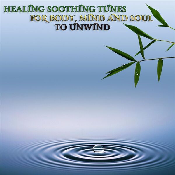 Various Artists|Healing Soothing Tunes for Body, Mind and Soul to Unwind Various Artists|Healing Soothing Tunes for Body, Mind and Soul to Unwind