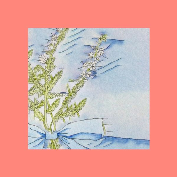 Joviale - Dreamboat Joviale - Dreamboat