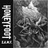 HoneyFoot S.A.M.F.