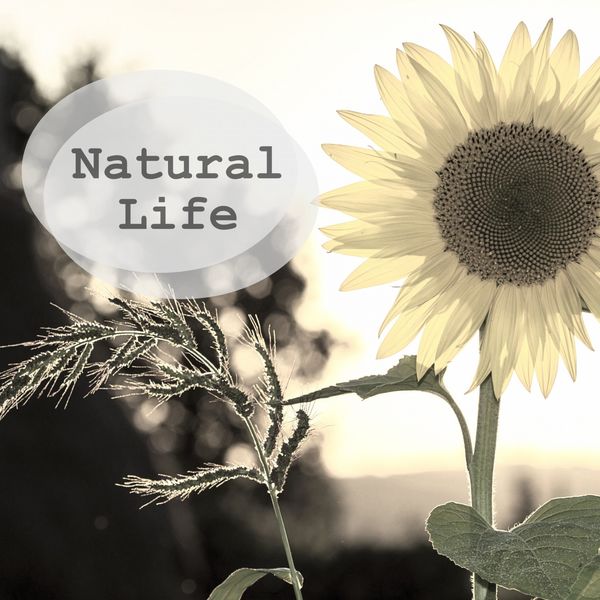Nature Sounds - Natural Life Nature Sounds - Natural Life