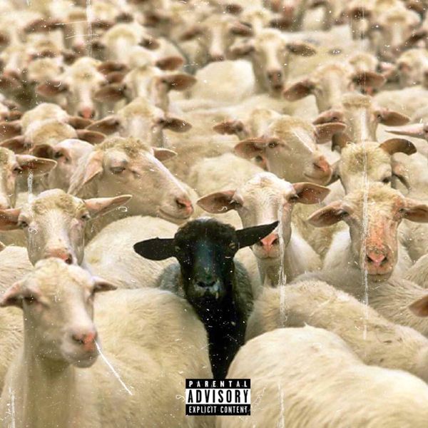 Monte Carlo - BLVCK SHEEP Monte Carlo - BLVCK SHEEP
