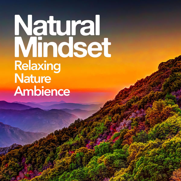 Relaxing Nature Ambience - Natural Mindset Relaxing Nature Ambience - Natural Mindset