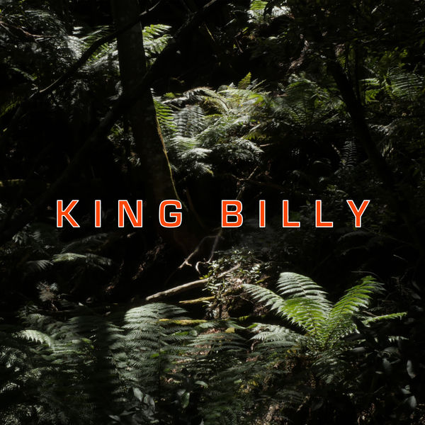 King Billy, Billy King - Qobuz