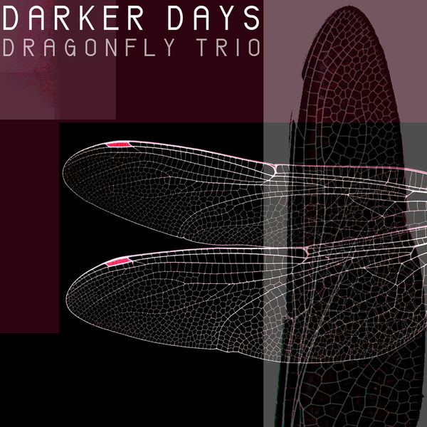 Dragonfly Trio - Darker Days Dragonfly Trio - Darker Days