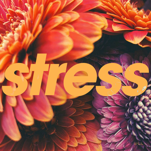 Tycho|Stress Tycho|Stress