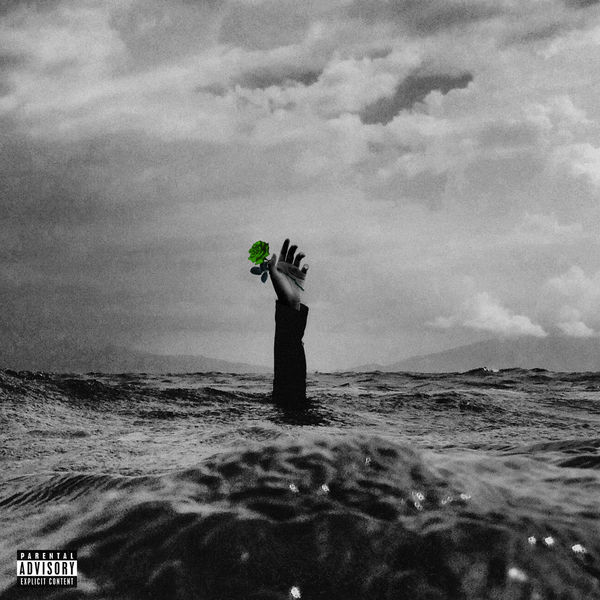 Yoshi Flower - I Will Not Let My Love Go To Waste Yoshi Flower - I Will Not Let My Love Go To Waste