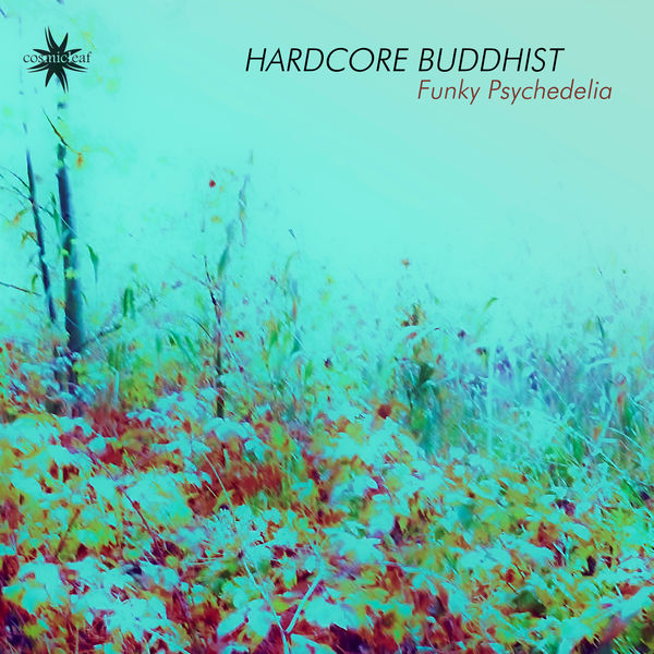 Hardcore Buddhist - Funky Psychedelia Hardcore Buddhist - Funky Psychedelia