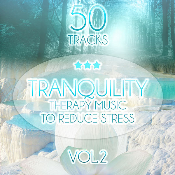 Tranquility Spa Universe|Tranquility: Therapy Music to Reduce Stress, Relaxing Sounds of Nature (Birds, Water, Sound of the Sea) Trouble Sleeping, Meditation, Yoga, Help with Learning, Spa & Massage vol. 2