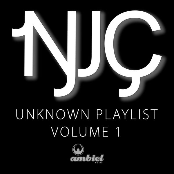 Album Unknown Playlist Volume 1 Njc Qobuz Download And Streaming In High Quality