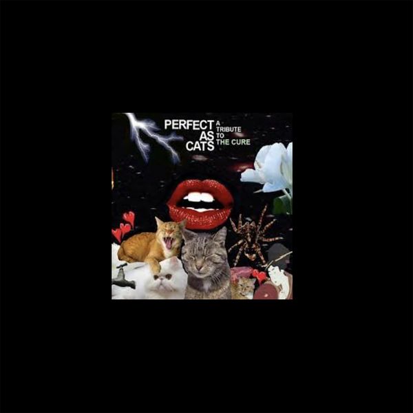 Bat For Lashes - A Forest Bat For Lashes - A Forest