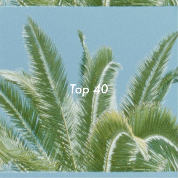 Carl Schilde|Top 40 Carl Schilde|Top 40