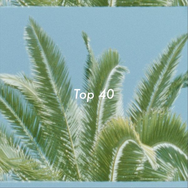 Carl Schilde|Top 40