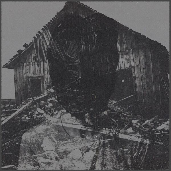 Wrecking ball by that famous artist they don't want us to mention