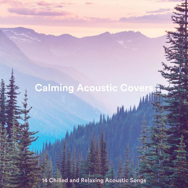 Various Artists|Calming Acoustic Covers: 14 Chilled and Relaxing Acoustic Songs Various Artists|Calming Acoustic Covers: 14 Chilled and Relaxing Acoustic Songs