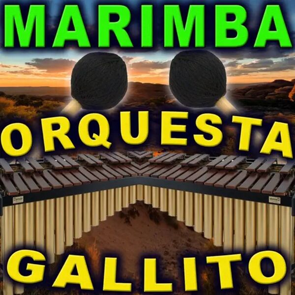 12 Éxitos Marimberos, Marimba Orquesta Gallito Qobuz
