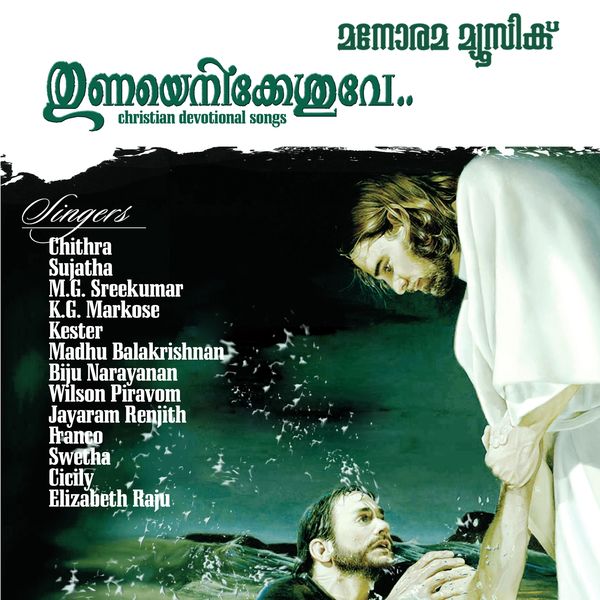 thunayenikkesuve songs