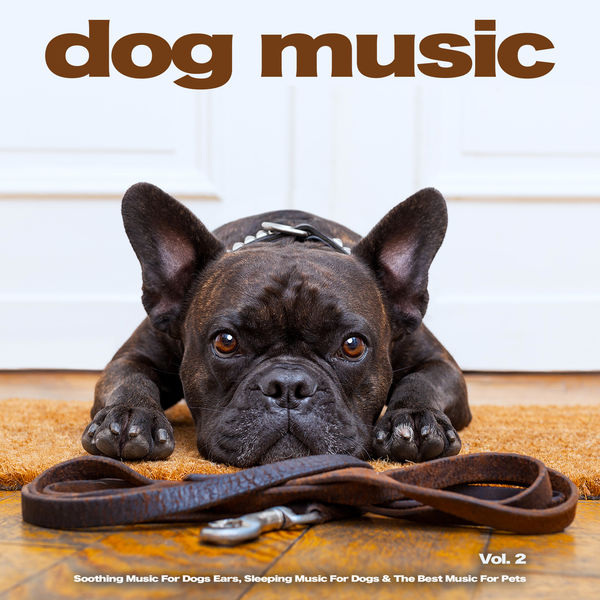 Dog Music - Dog Music: Soothing Music For Dogs Ears, Sleeping Music For Dogs & The Best Music For Pets, Vol. 2 Dog Music - Dog Music: Soothing Music For Dogs Ears, Sleeping Music For Dogs & The Best Music For Pets, Vol. 2